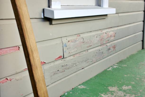 Best Mattress Disposal  in Dundee, OR
