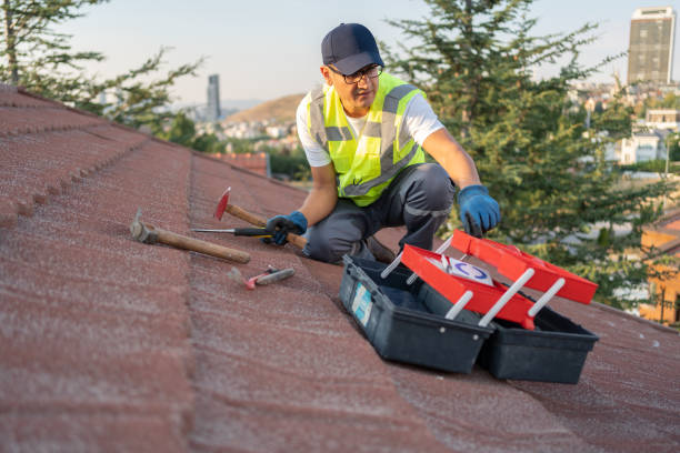 Best Construction Debris Removal  in Dundee, OR